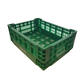 Green Collapsible Vegetable Basket (Big)